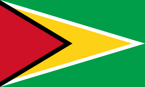 Файл:Flag of Guyana.png